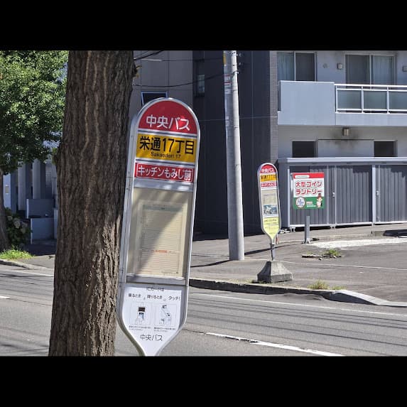 札幌市豊平区｜キッチンもみじで味わう本格手作り洋食の魅力